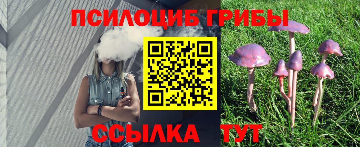 Дубна  Псилоцибиновые грибы Psilocybe  Вход с VPN 